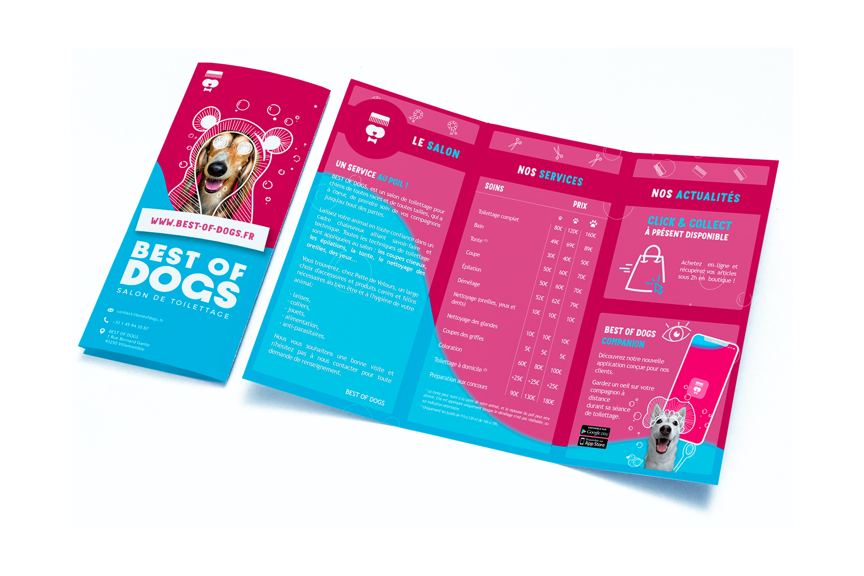 ELISE_FALLA_BEST_OF_DOGS_BROCHURE