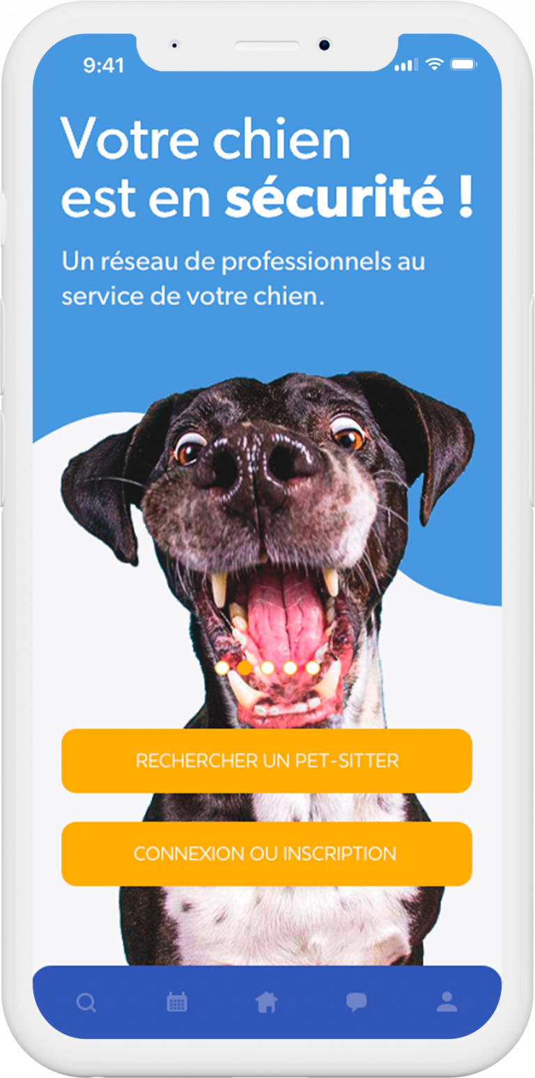 ELISE_FALLA_LA_DOGUERIE_CONNEXION