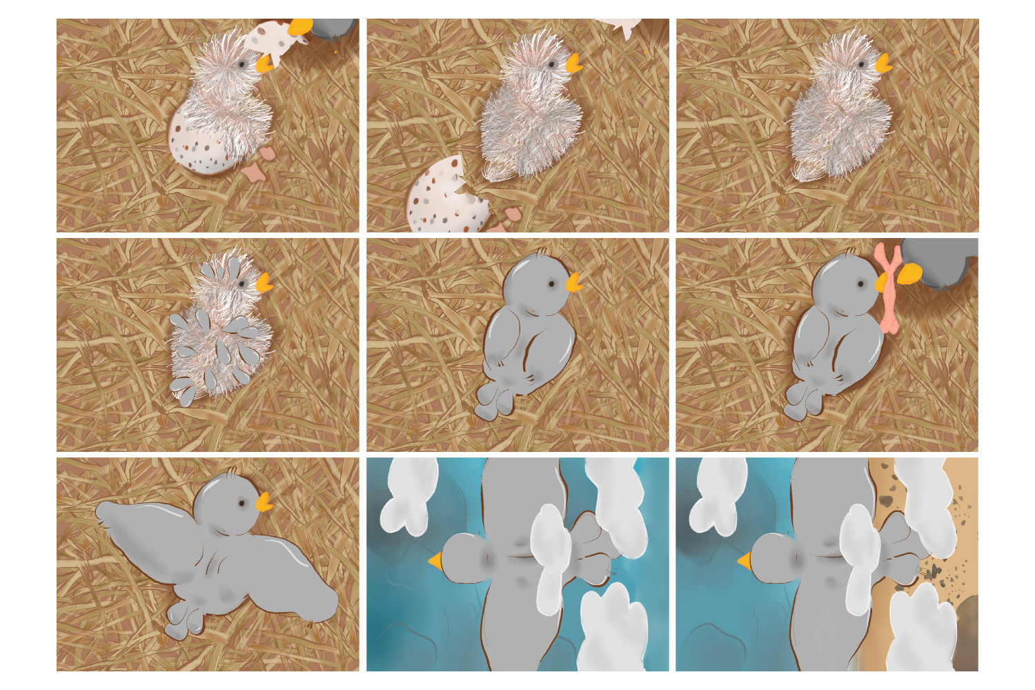 ELISE_FALLA_TERRAIN_CONNU_TERRE_INCONNUE_STORYBOARD2